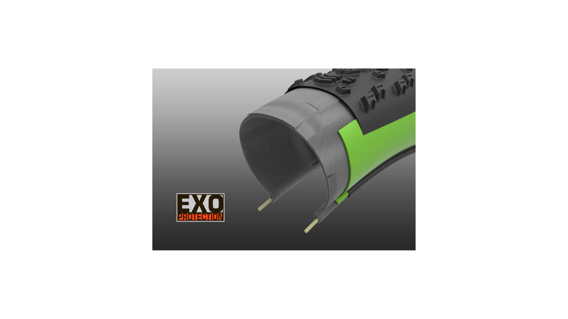ASSEGAI 29X2.50 WT 3CT/EXO + TR NEUMATICO MAXXIS - Imagen 3