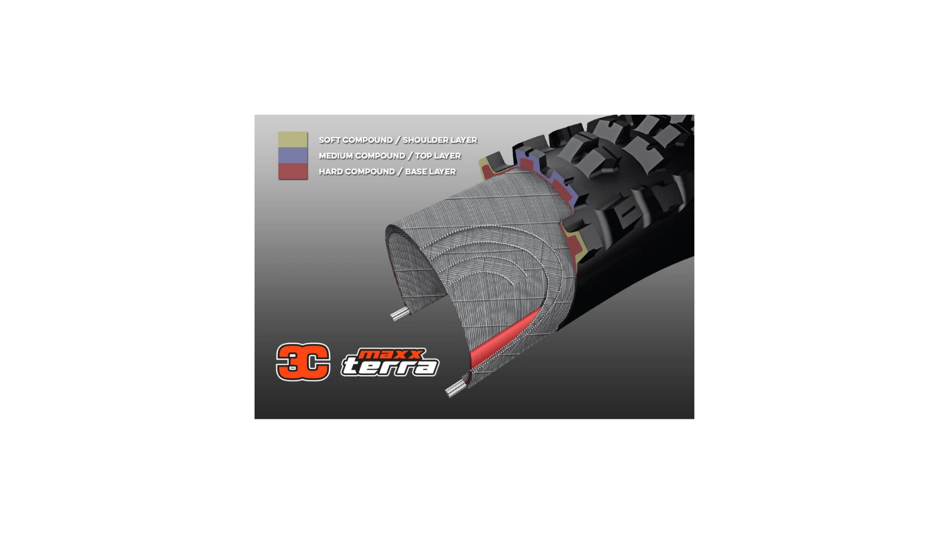 ASSEGAI 29X2.50 WT 3CT/EXO + TR NEUMATICO MAXXIS - Imagen 2