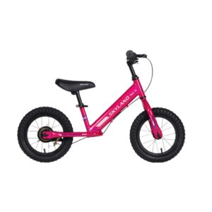 BICICLETA APRENDIZAJE SKYLAND SARA ARO 12 NIÑA