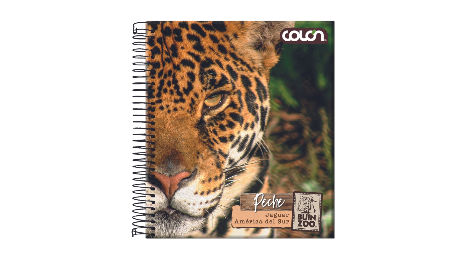 Cuaderno Book Buin Zoo 7mm 150hjs. Colón - Imagen 4