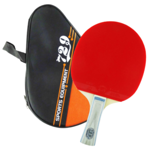 Paleta Ping Pong 5 Estrellas 729 ITTF